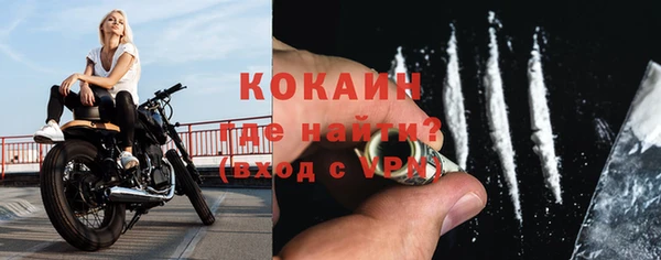 гашик Пестово