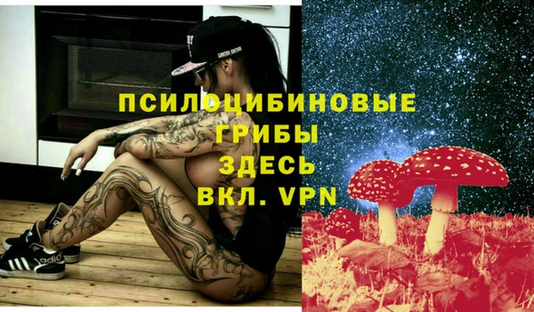 spice Балабаново